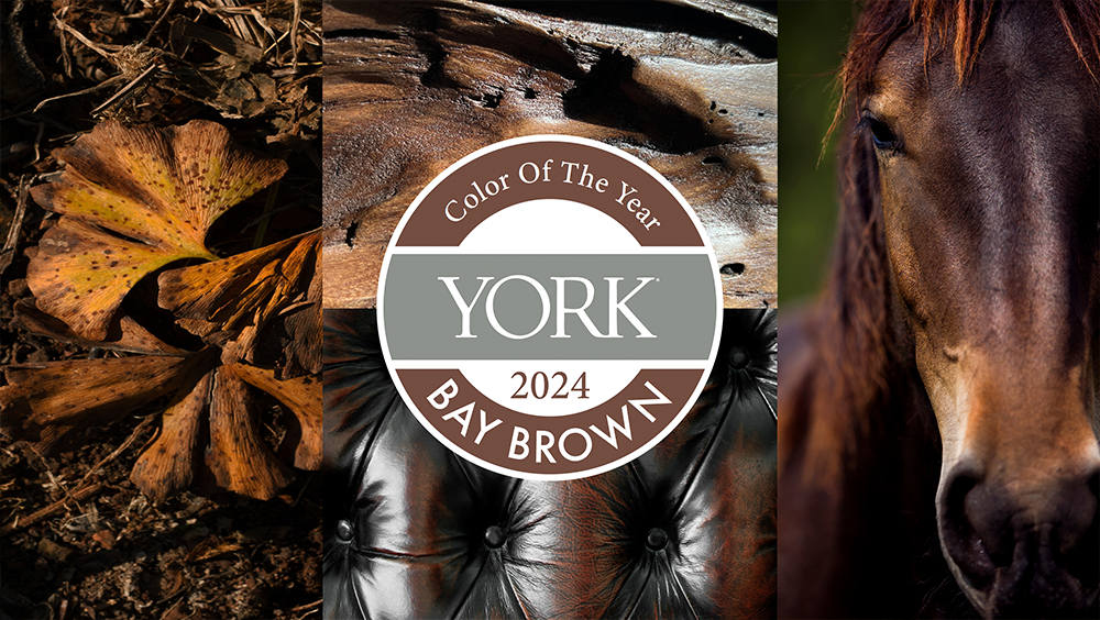 Color of the Year 2025